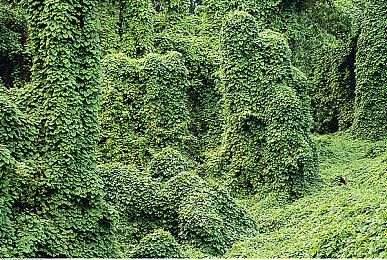 《第一后裔》第一赛季更新改为分成两部分发布